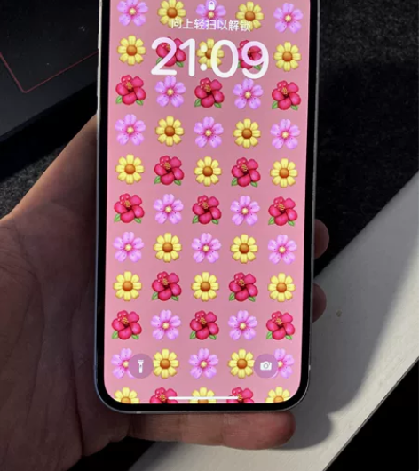 出一台iPhone 12 国行 128g ...