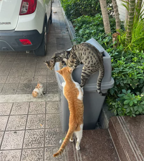 吉他100一口价包邮私聊看图片 感兴趣的话...