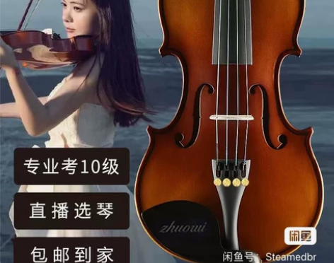 浩成进口实木小提琴初学者手工专业级儿童成人...