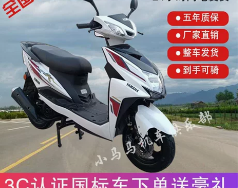 全新原装电喷雅马哈尚领/迅鹰125cc踏