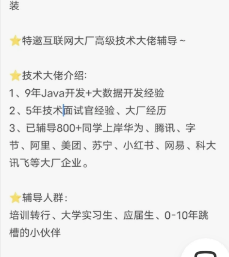 互联网大厂技术岗/前端开发大数据开发简历修...