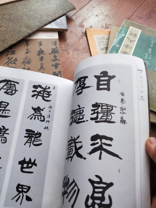 各种字帖信封，老书籍，医书。算命书，反正要...