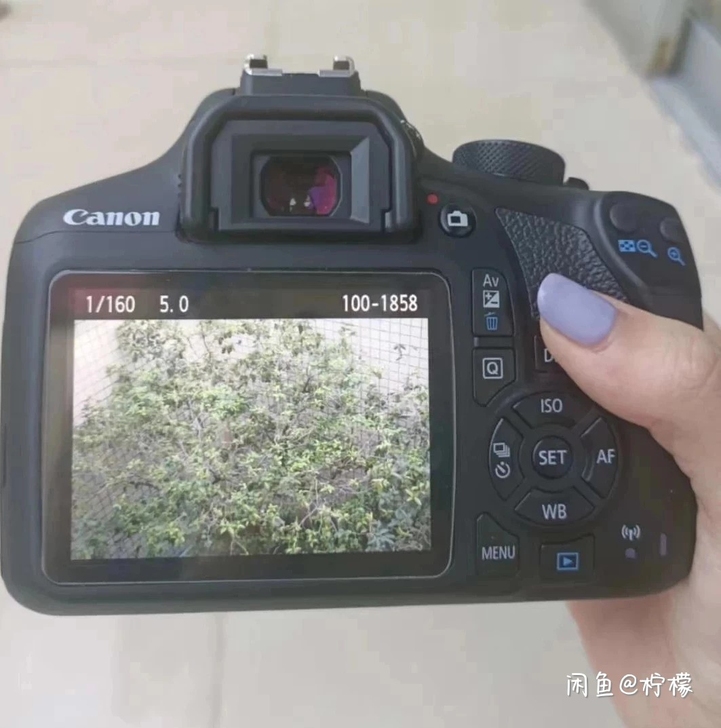 相机是1300d改成1500d的，就是换个...