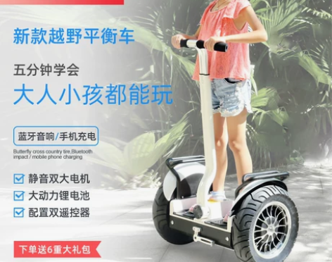 平衡车 儿童成年双轮小孩智能两轮带扶手电动