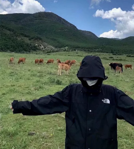 p285 【The North Face ...