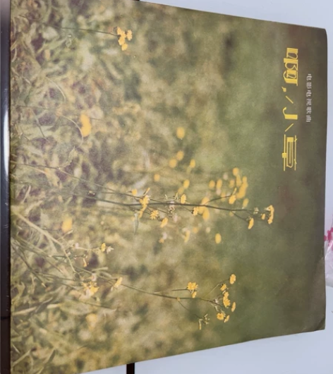 老唱片、电影电视歌曲、啊.小草、10寸33...