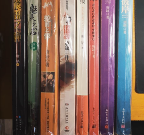 九州系列小合集 龙痕，云之彼岸，星痕，殇翼...