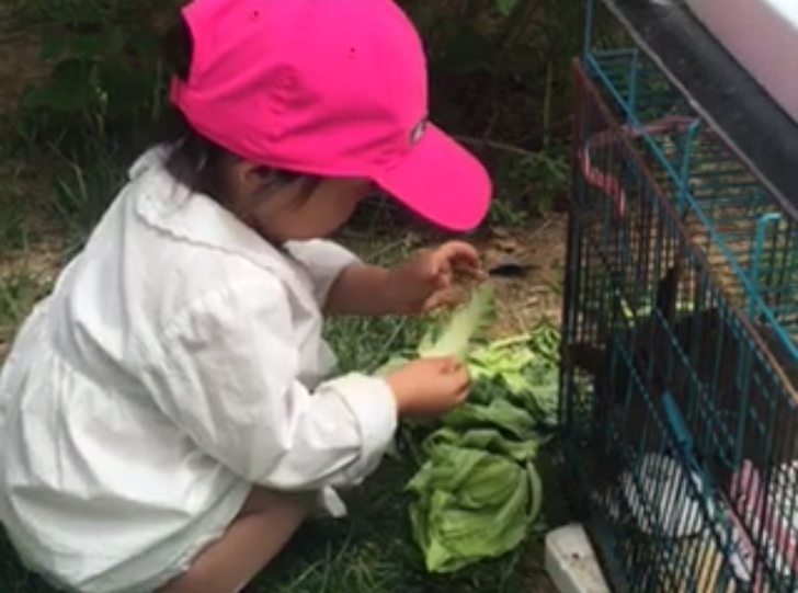 出阿迪达斯女童运动帽子一顶,枚红色,实际颜...