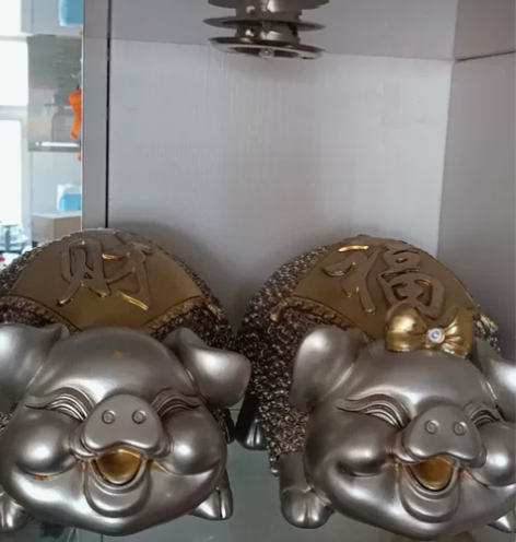 摆件非存钱罐 感兴趣的话点“我想要”和我私...