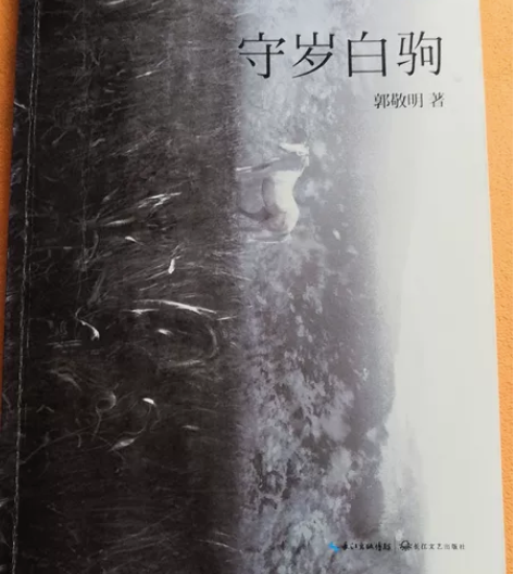 郭敬明-守岁白驹 封面有窝痕，内页有两处油...