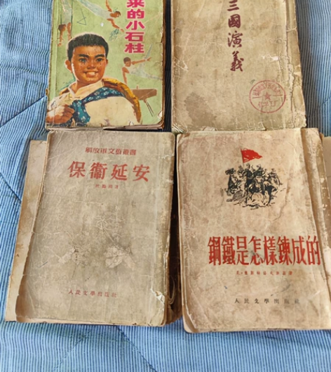 几本老书，要的带价来，钢铁是怎样炼成的19...