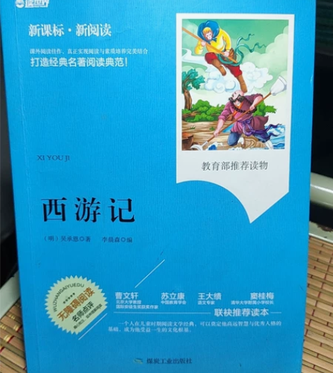 【处理】新课标新阅读西游记无障碍阅读名师点...