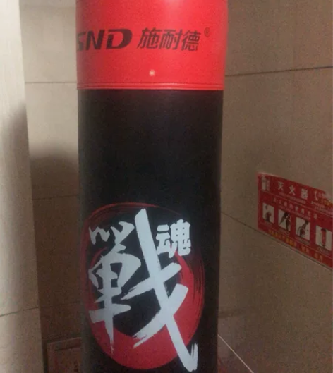 施耐德拳击沙袋拳击训练器材家用儿童散打立式...