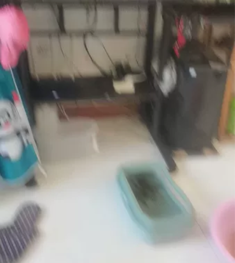 用了四年一套打包处理回去就能玩买的时候38...