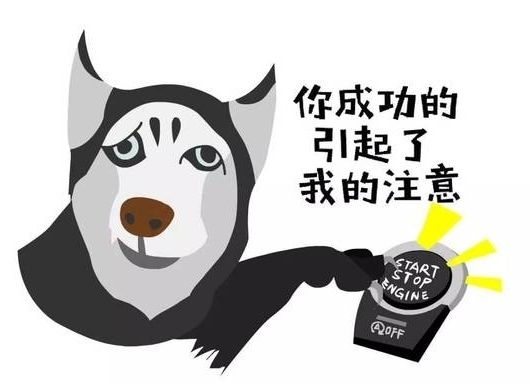 ps，ai，pr，lr等，