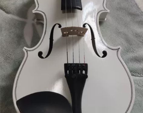 国产小提琴（YONG JIAN），配件齐全...