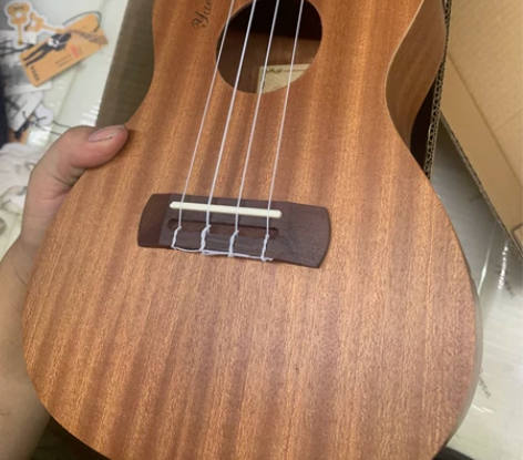 wellburn尤克里里女初学者学生成人男...