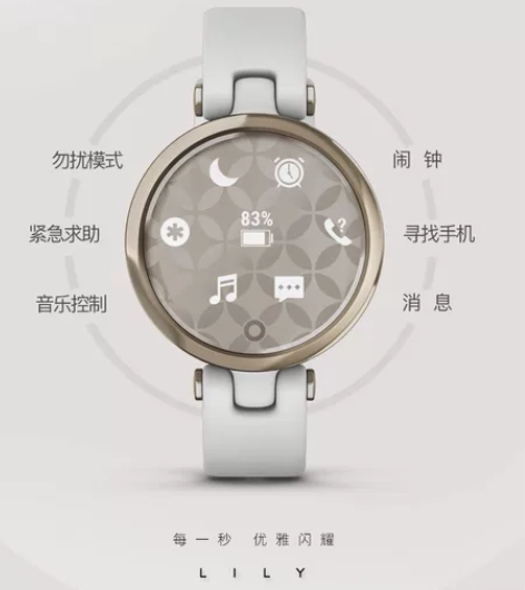 Garmin佳明lily时尚欧美智能心率手...