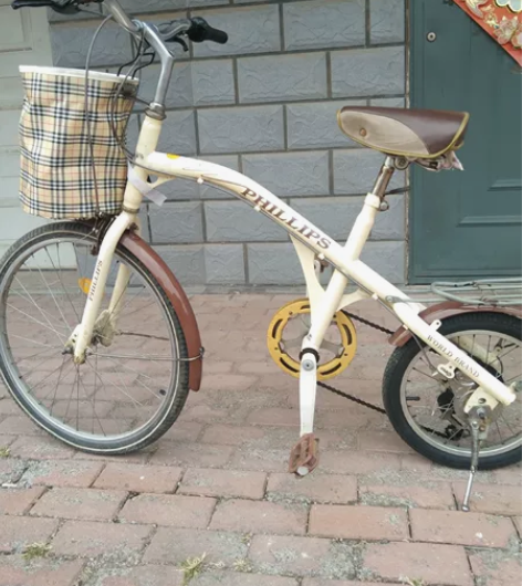 菲利普变速自行车，名牌车子，骑行溜到省劲，...