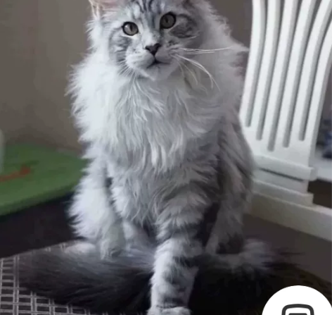 因为老婆不让养了！ 有需要的朋友可以拿走 ...