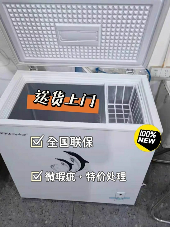 【送货上门】冰柜家用商用冷冻小型冷柜荣事达...