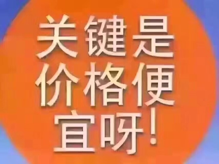 烧油的踏板车，油踏板，全新车，包上牌包保险...