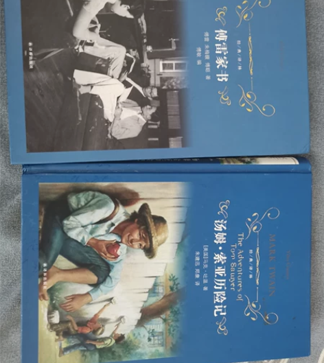 九成新的《傅雷家书》《汤姆索亚历险记》 电...