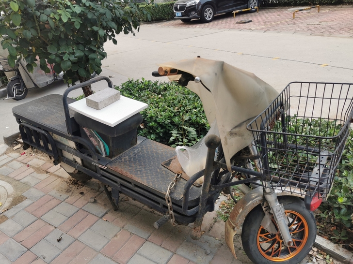 载重王电动车