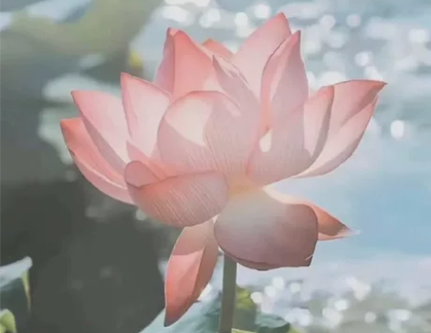 童年/神秘/真实事件/乡村/共鸣 故事分享...