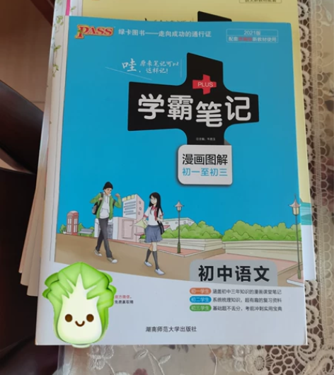 初中全套学霸笔记(无地理生物) 语文数学英...