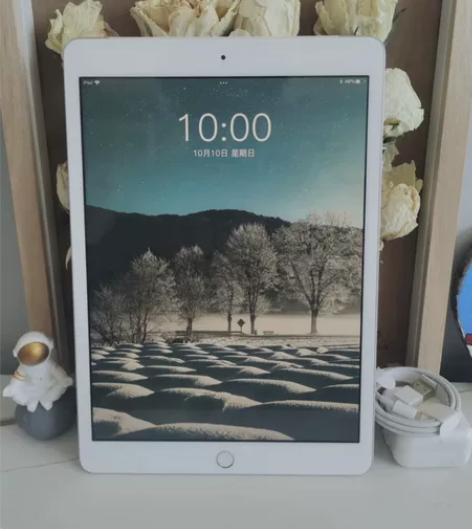 iPad 2019款7代 10.2寸 12...