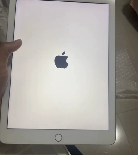 iPad    国行版本 2018-202...