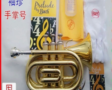 美国巴哈小号乐器手掌号便携式降B调小号电泳...