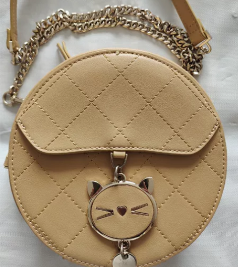 女士真皮包手提包斜挎包链条包 忘记是哪个品...