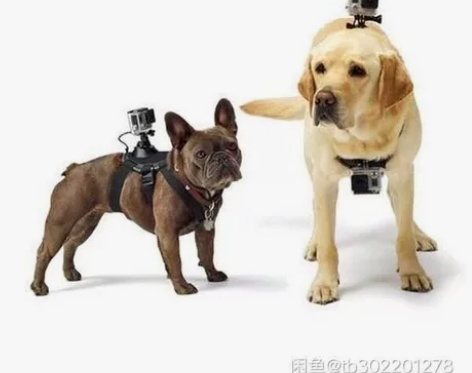GoPro小蚁运动相机配件。小蚁原装运动相...