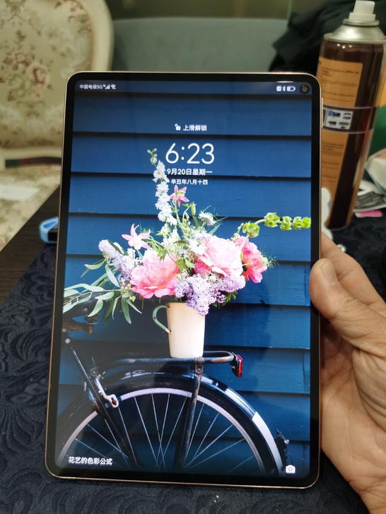 华为 华为 MatePad Pro5G 1...