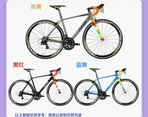 喜德盛自行车,国家队指定品牌 正品喜德盛R...