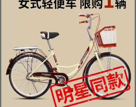 自行车女轻便单车普通代步通勤老式复古淑女成...