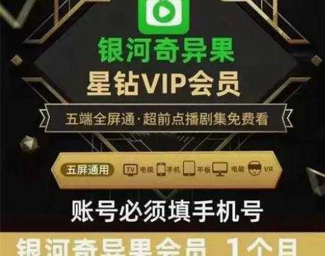 爱奇艺银河奇异果 电视端星钻会员月卡季卡年...