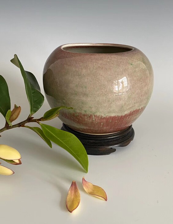 苹果尊