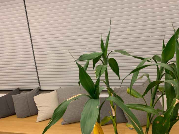 羽绒/鹅绒素色极简北欧风格靠垫抱枕，设计定...