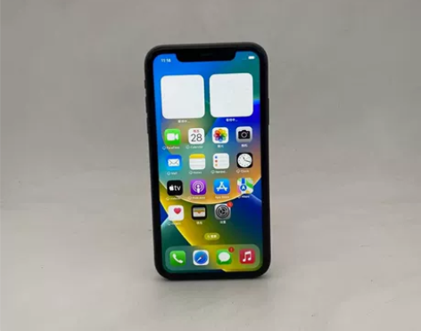 Apple/苹果 苹果 iPhone 11...