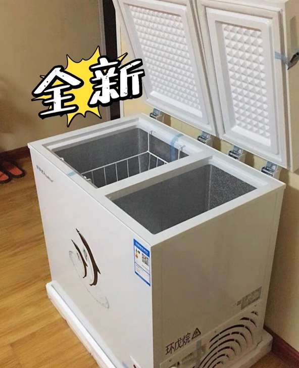 清仓荣事达志高夏新家用冷柜冷藏冷冻两用商用...