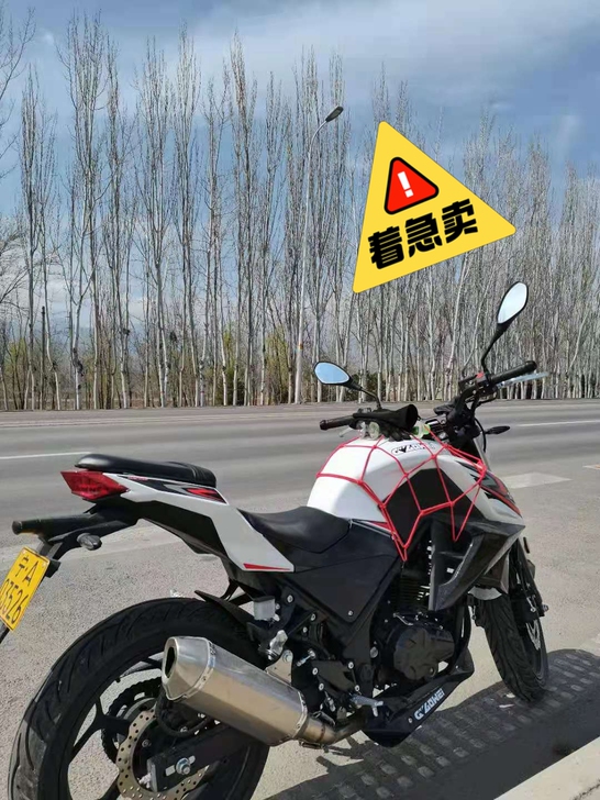 车户保险齐全，无事故，无磕碰，急用钱，低价...
