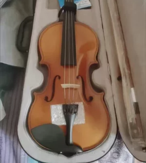 小提琴 4/4 无瑕疵 音质很好 200一...