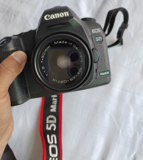 自用佳能单反相机5D MarkII，无敌兔...