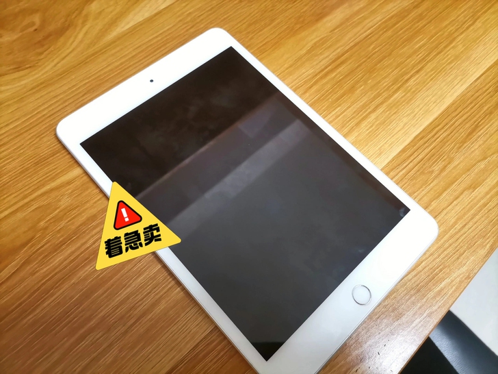 iPad 2020 mini 5 美版 6...