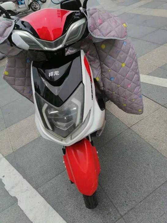 祥龙电动车，2020年购入，购入价3000...