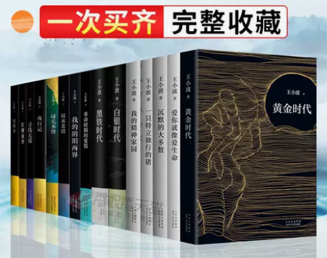 王小波的书全套共15册黄金时代特立独行的猪...