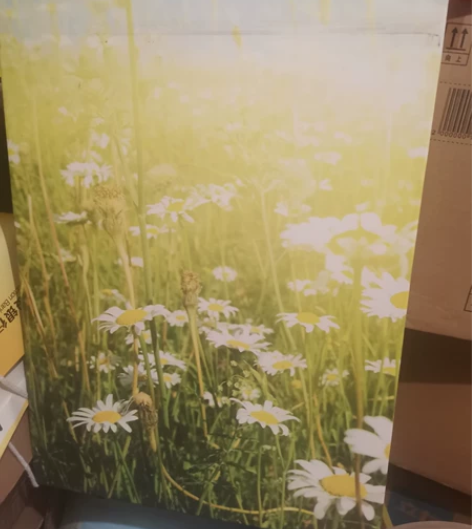 墙蛙幸福花海 风景地中海壁画挂画无框画 沙...